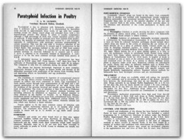 1969 Page 36 37